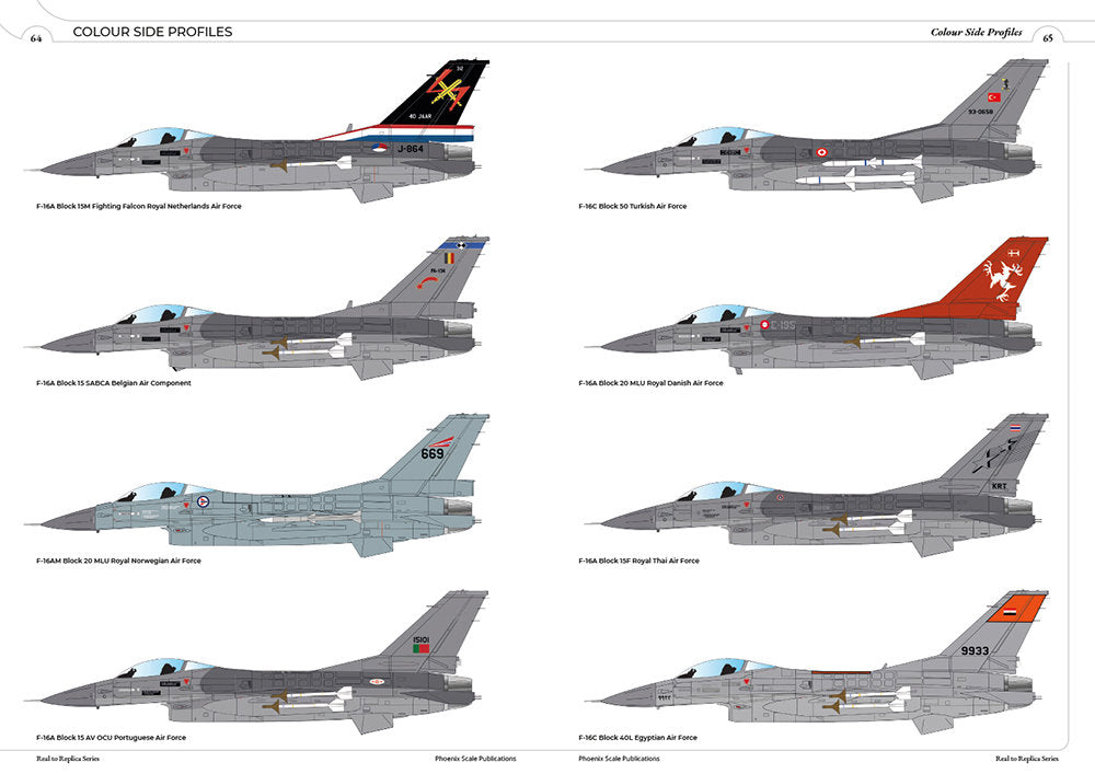 Real to Replica #2 - F16 in International Service Pt 2 by Andy Evans